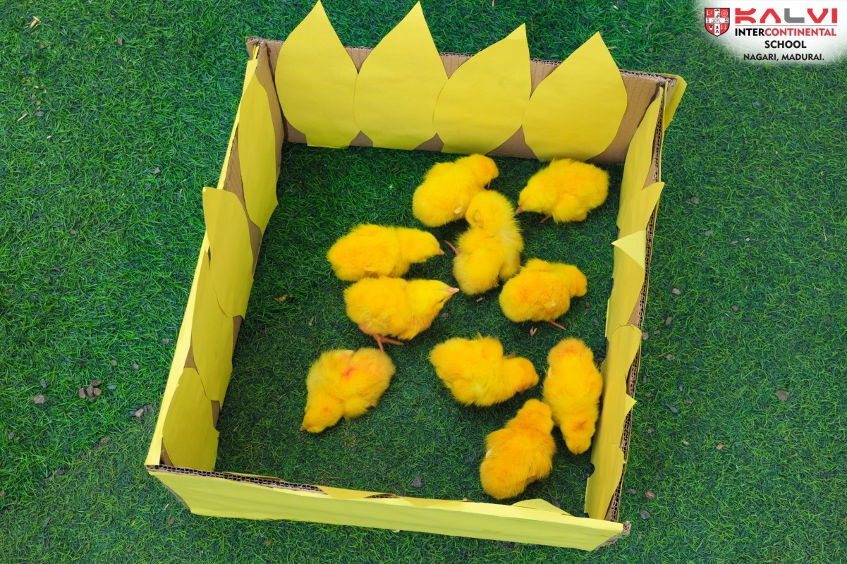 Kalvi Intercontinental School Celebrated Yellow Day
