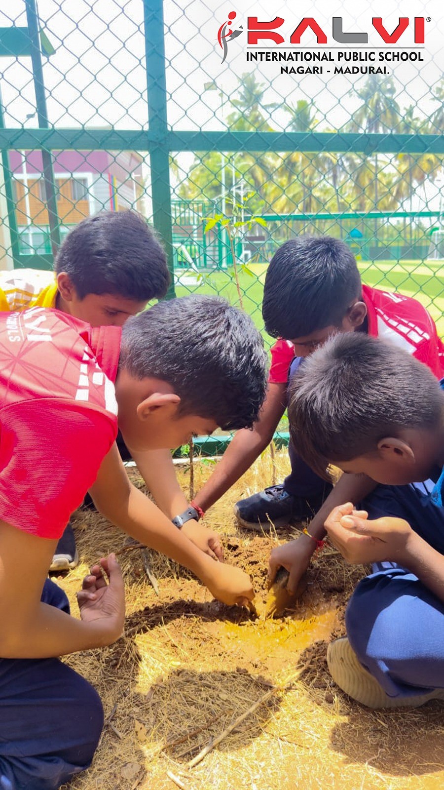 Community Garden activity - KIPS, Madurai